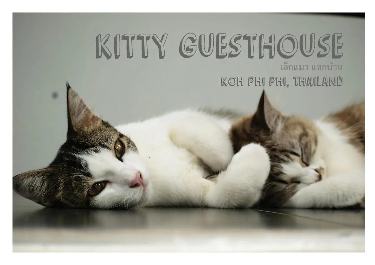 Kitty Guesthouse Phi Phi Don Thailand